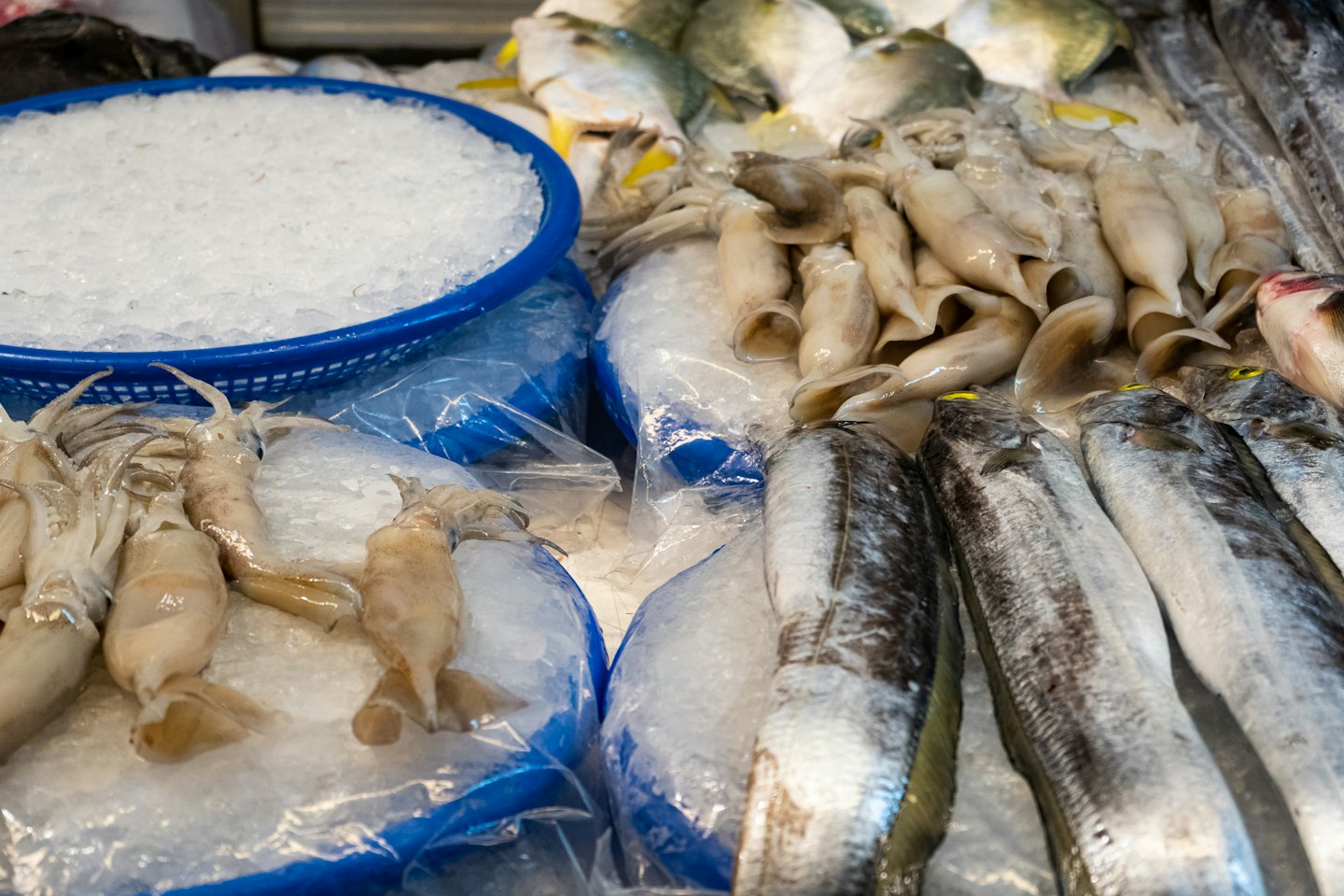 Pescado y calamares frescos expuestos sobre hielo picado en un mercado.